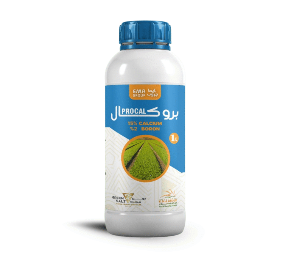بروكال