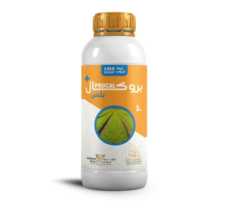 بروكال بلس