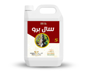 سال برو