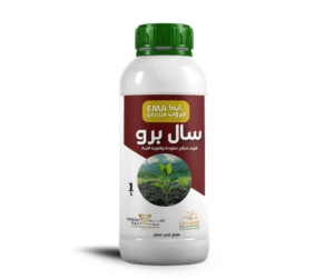 سال برو